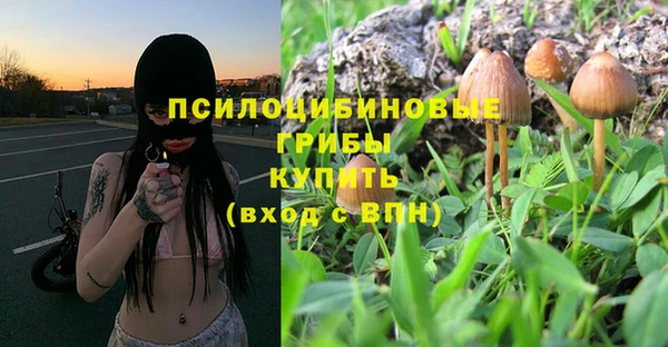 экстази Баксан