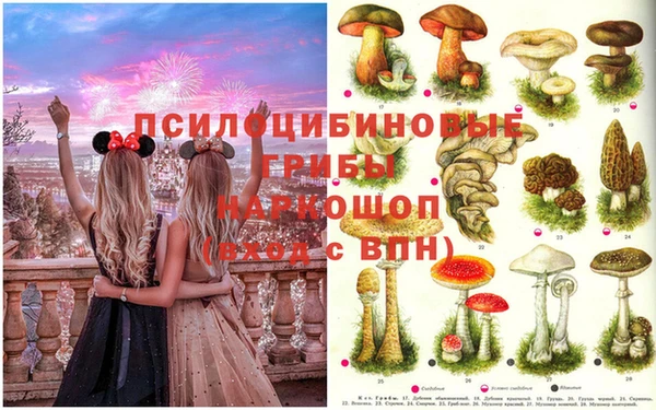 экстази Баксан